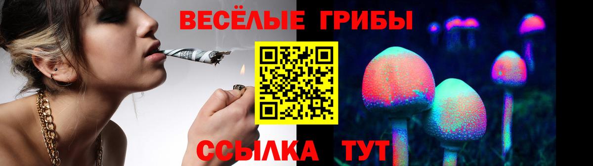 Галлюциногенные грибы Psilocybe  Вход с VPN  Отрадный 